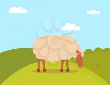 Sheep grazing on grass, side view of farm animal standing on grass, goat with white wool eating outdoor, green hills and cloudy sky, farming vector