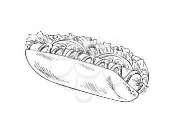 Graphic art of american hot-dog vector banner isolated on white backdrop fast food illustration snack with bun and sausage with mustard, fresh lettuce