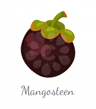 Purple mangosteen exotic juicy fruit icon vector isolated. Tropical edible food, dieting vegetarian plant full of vitamins with endocarp white inside