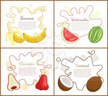 Banana and watermelon, posters set with text sample. Chompoo and coconut tropical fruits and info on decorative blots. Exotic tasty products vector