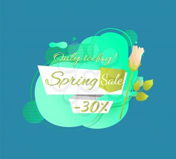 Spring sale promo label 30 percent off, only today best price and white rose flower isolated. Vector springtime discount tag with bud and abstract liquid shape