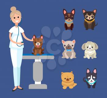 Veterinarian service, pets clinic with dogs breeds isolated domestic animals vector. Medicine treatment and examination of pets. Hospital service