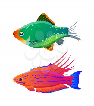 Filamented flasher wrasse and green tiger barb. Freshwater aquarium pets silhouette icon on blank background in cartoon style vector illustration