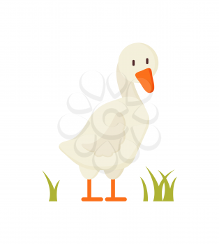 White goose standing on greenish grass cartoon character for children book illustration. Flat colorful vector farm animal depiction isolated on white.