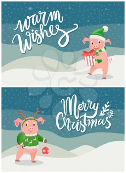 Warm wishes and Merry Christmas greeting cards with pig Chinese horoscope animal holding gift box in hands and round ball New Year decoration vector