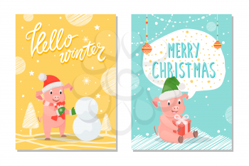 Greeting card hello winter and Merry Christmas with piggy in mittens and scarf making snowman between trees. Smiling pig with hat holding gift box vector