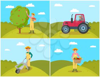 Farmer gathering apples set. Tractor on field agricultural machinery in use. Compost cart and wicker basket with vegetables, tomatoes and peppers vector