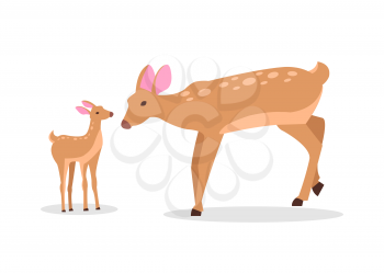 Adult doe with little fawn isolated vector illustration in cartoon style. Deer family on white background, mother and son