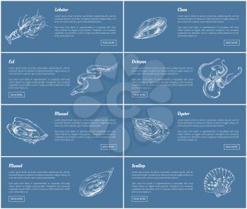 Scallop and oysters, mussels posters set. Seafood ingredients. Lobster and octopus, eel and clam sketches outline with headline vector illustration