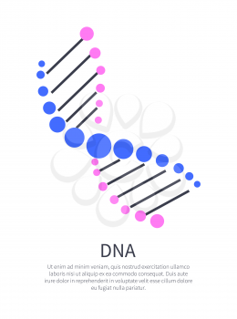 Human DNA part on scientific information poster. Biology and genetics banner. DNA chain schematic picture isolated cartoon flat vector illustration.