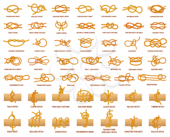 All types of knots demonstrated with strong rope. Strong and complicated knots with names. Rope tied over wooden plank isolated vector illustrations.