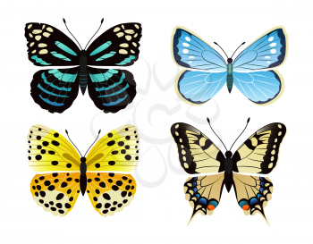 Butterflies types set of creatures, kinds of butterflies, lycaena and morpho peleides, papilionidae vector illustration isolated on white background