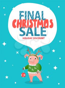 Final Christmas sale holiday discount with pig in green sweater, print of reindeers and New Year decorative ball. Total discounts on noel eve vector animal