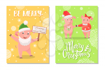 New Year piglets couples, gift box. Male with Santas hat and female with red bow, pigs exchanging presents vector. Cartoon pig wishing happy New Year