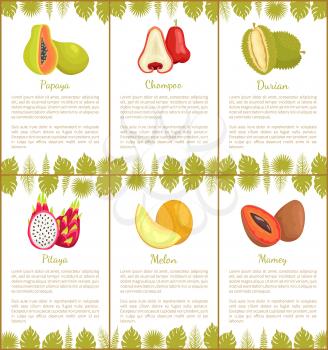 Papaya and chompoo posters set with text sample and tropical plants leaves decoration. Pitaya and mamey, melon and durian exotic fruits slices vector