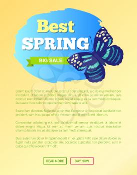 Best spring big sale label with butterfly called chocolate tiger with lines and ornaments, vector illustration promo voucher emblem, discounts concept