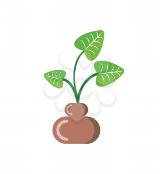 Leaves of plant in pot vector, isolated icon of houseplant with foliage. Growing botanical frondage with stable, potted decorative element, herbal nature