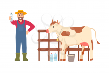 Man standing by cow vector, farmer showing ready production, milkman with milk in bottle and cattle standing at stables, livestock tending and care
