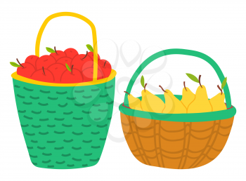Apples and pears in wooden and wicker basket, case with handle. Seasonal fruits, harvesting product, fresh sweet food, greengrocer in pottle, farm vector