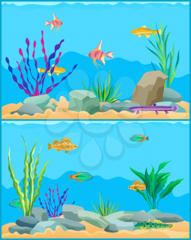 Fish underwater seascape set. School of fish with non-flowering plants seaweed with aquatic animals. Exotic biodiversity diversity vector illustration