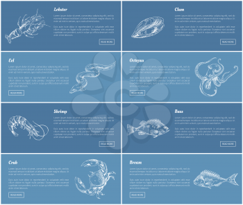 Lobster and bass fish posters set with headlines. Marine life and unprepared food ingredients. Clam and octopus, eel and shrimp vector illustration