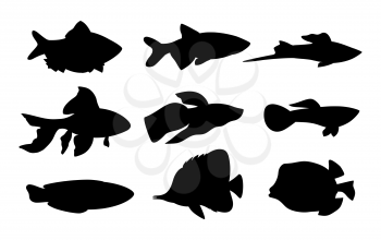 Aquarium set of fish silhouettes. Butterfly boxfish goldfish and tamarin blue wrasse. Limbless cold-blooded animals isolated on vector illustration