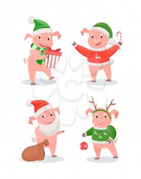 New Year piglets in hats and sweaters, winter holidays set. Gift box and cane candy, gifts sack and Christmas tree decoration vector illustrations isolated