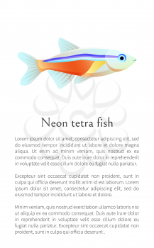 Neon tetra fish isolated on white. Freshwater aquarium pet silhouette hand drawn graphic icon on blank background cartoon style vector illustration