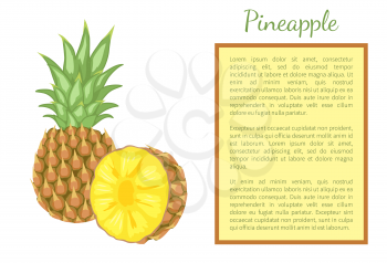 Pineapple tropical plant edible multiple fruit whole and cut vector isolated. Tropical food, dieting vegetarian exotic item with vitamins, common ananas