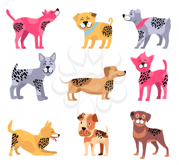 Dogs of different breeds icons isolated on white background. Vector illustration with dachshund surrounded by rottweiler, beagle and playing akita