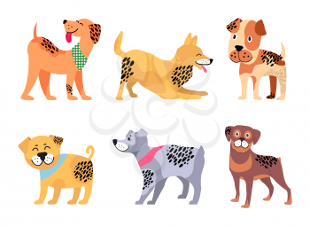 Kind weimaraner, energetic fox terrier, baby boxer, plump bullmastiff, German wirehaired pointer and cute rottweiler isolated vector illustrations.