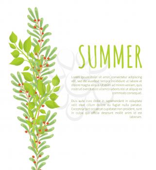 Summer poster with green branches leaves and berries, deciduous swamp holly spring branch with green leaf and red fruit vector illustration summer poster