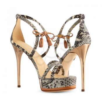 Women's shoes of snakeskin high heels