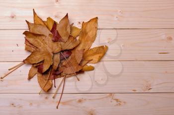 autumn yellow leaves on the background of wooden planks