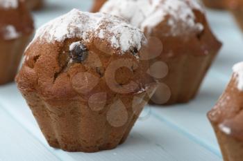 cupcake with raisins sprinkled with powdered sugar closeup on blue wooden table.