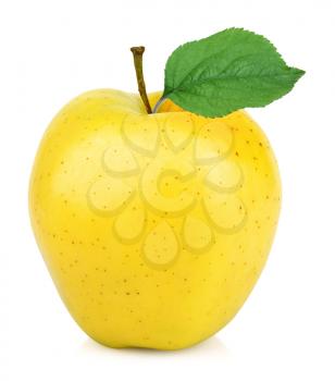  yellow one apple fruit isolated on white background