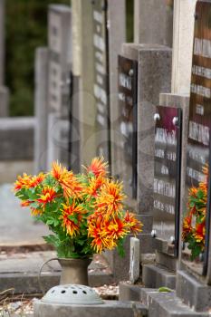 Fresh flowers on a grave in Holland