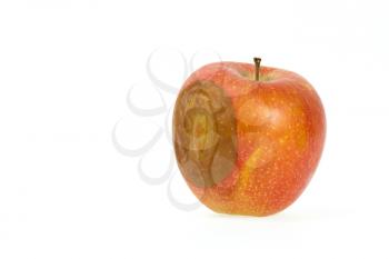 One bad red apple isolated on white background