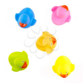 Rubber ducks isolated on a white background
