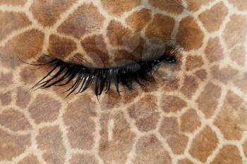 Women eye, close-up, concept of sadness, giraffe pattern