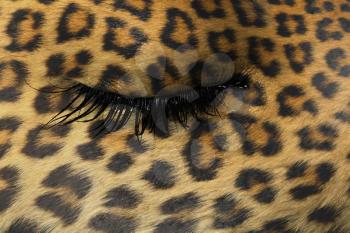 Women eye, close-up, concept of sadness, leopard pattern