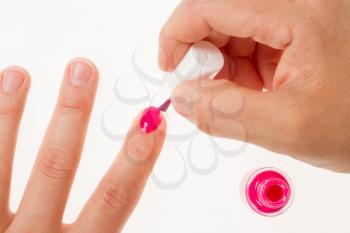 Painting female fingernails with pink enamel close-up on white background