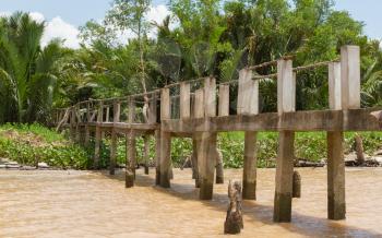 Concrete bridge into the jungle, mekong delta Vietnam