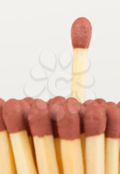 Group of matches, isolated on a white background