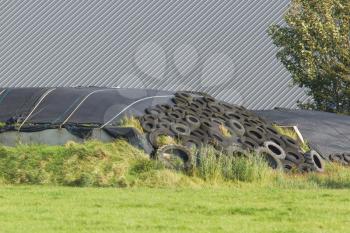 Haylage under plastic and car tires, Holland