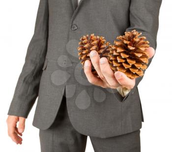 Man in grey suit is holding two pine cones, isolated