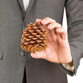 Man in grey suit is holding a pine cone, isolated