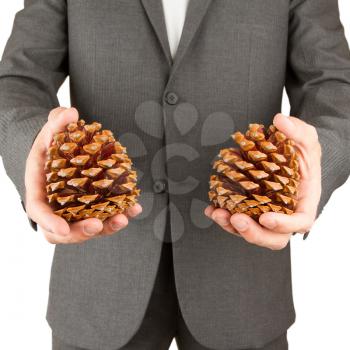 Man in grey suit is holding two pine cones, isolated