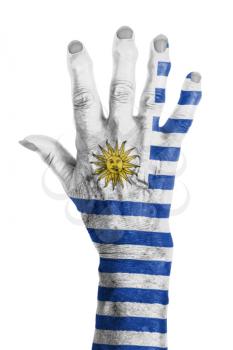 Hand of an old woman wrapped in flag of Uruguay