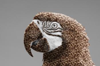 Macaw parrot with a giraffe print, isolated